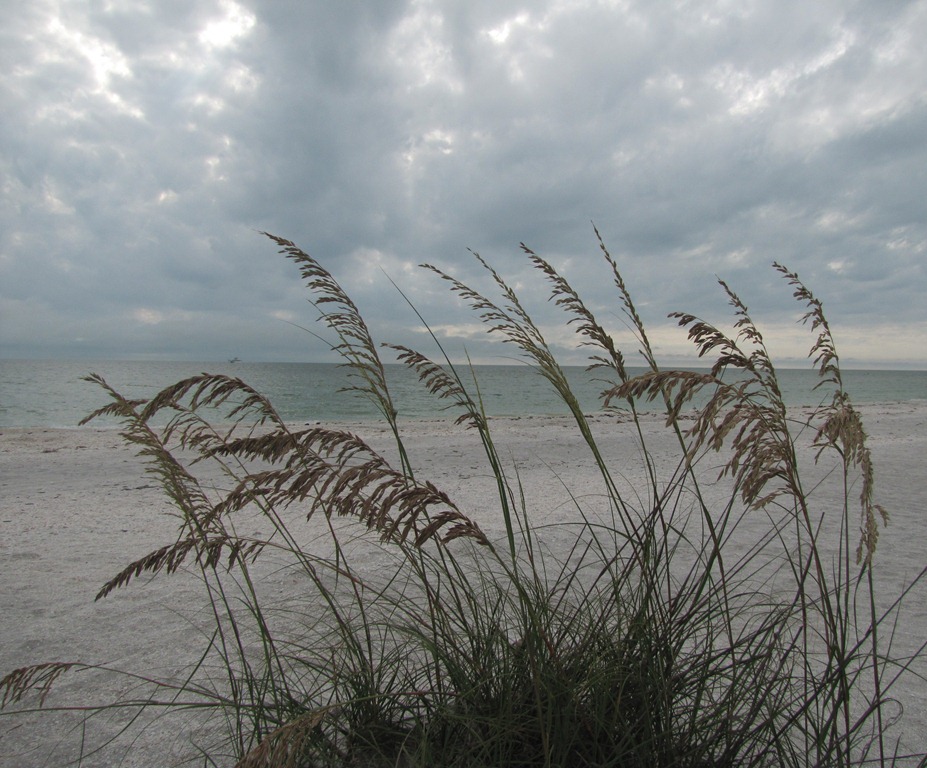 [IMG_4777%255B3%255D.jpg]