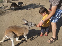 IMG_8717 IMG_8717