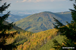 Malá Stolová hora je 1009 m n. m. Zalesněný vrchol leží severně od vrcholu Kněhyně (úbočí vpravo na obrázku) a východně od Velké Stolové hory (vlevo na obrázku).