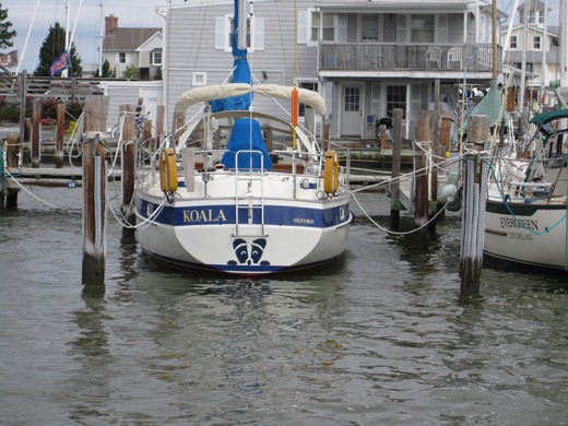 [sailing-days-3-4-0031%255B1%255D.jpg]