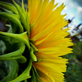 Afdelingstur2010 (47 of 167).jpg