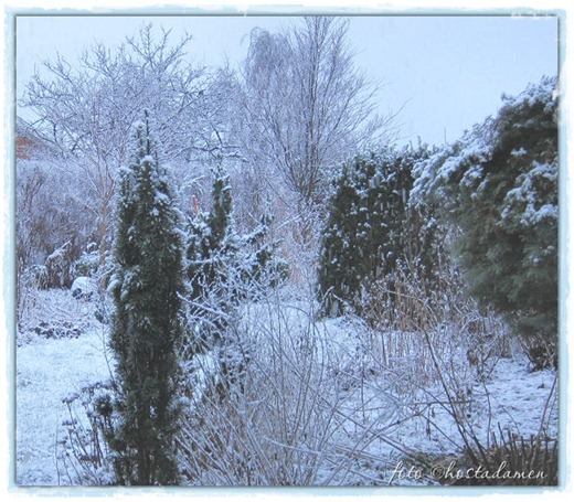 sne_01.02.13 sne_01.02.13