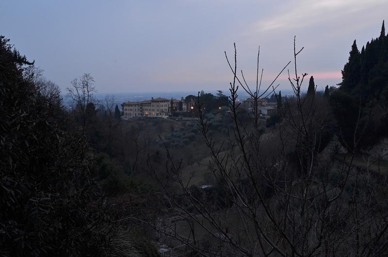 DSC_1796.jpg DSC 1796