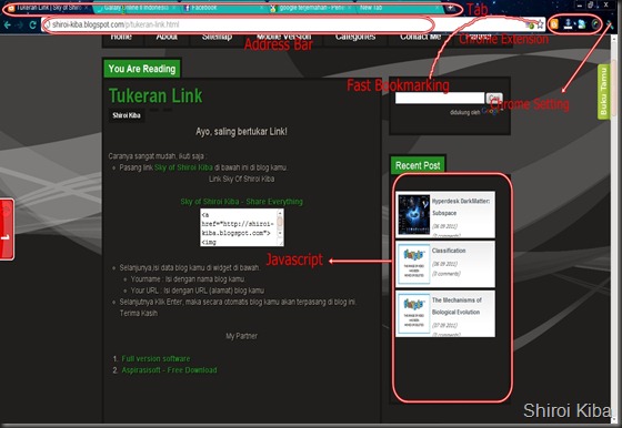 Chrome Interface Chrome Interface
