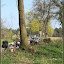 – am Wegesrand – am Wegesrand