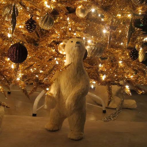 This one is getting a closer look.