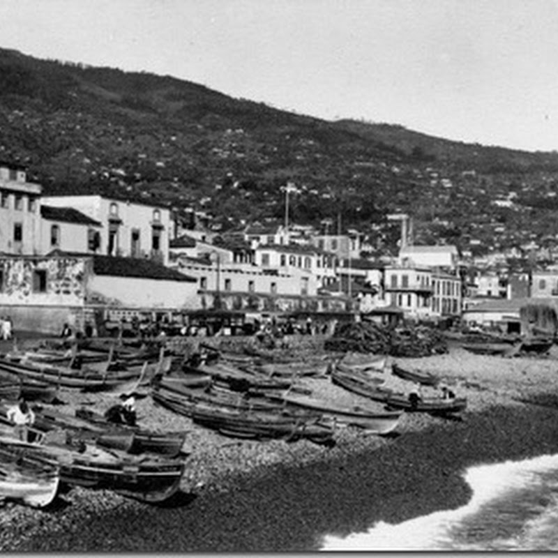 Restos de Colecção: Porto do Funchal