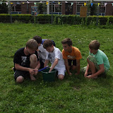 Album weergeven