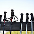 2011.09.11. - Trdinov vrh