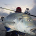 My Damn Blue August Fishing Trips