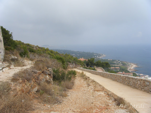 2012_08160040.jpg