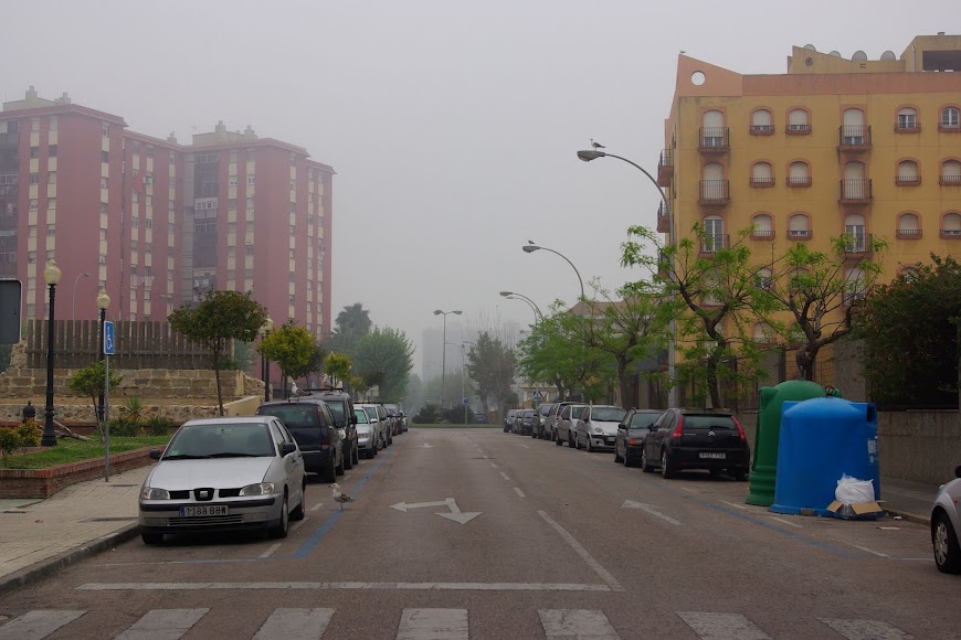 IMGP2544.JPG