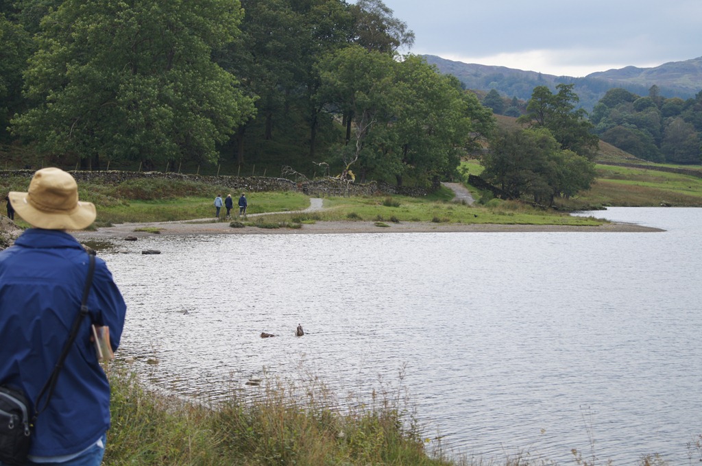 [rydal%2520water%2520hike%2520scouting%2520a%2520path%255B3%255D.jpg]