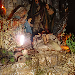 1531-3.JPG