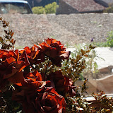 DSC01018.JPG
