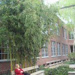 DSC01839.JPG
