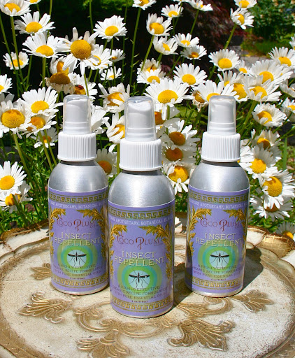 Destino Fuller, the founder of Coco Plum, has been living in Belize for 15 years and selling skincare. I'm going to trust that after 15 years in Belize, she's learned a thing or two about bugs and how to keep them from biting.