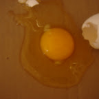 BURGAN AGRI CO. SUPPLIES COMPLETE EGG TESTING SYSTEM FOR KUWAIT MUNICIPALITY