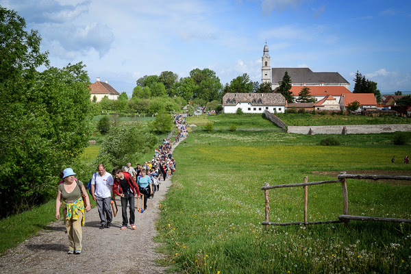 somlyo-1031.jpg