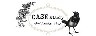 [CASEstudyheader3.jpg]