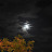 DSC_0735.JPG