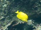 WP_000287.jpg
