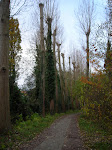 http://lh6.ggpht.com/-YMHHOFFlvqI/TtNFJ2dLIoI/AAAAAAAACsc/t4YKVny3hZs/Bxl%25252003.JPG