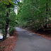 DSC_2776.JPG