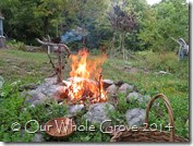 sacred fire sacrifice sacred fire sacrifice