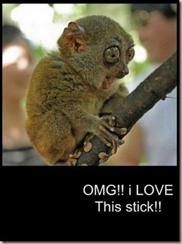 I love this stick
