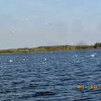 IMG_7978.JPG