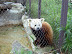 National Zoo in August
