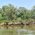 IMG_7725.JPG