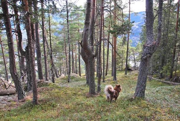 Liodden 020 Liodden 020