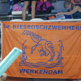 BSK2011