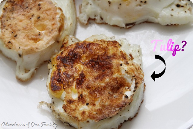 valentine's date ugly tulip egg valentine's date ugly tulip egg