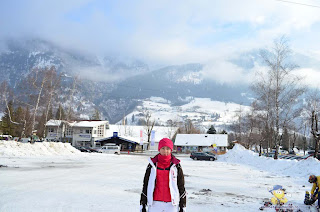 DSC_0120_1024x678.jpg