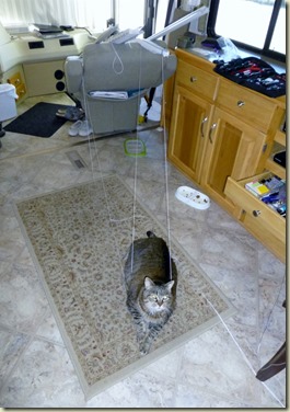 ShadeHelper (733x1024) ShadeHelper (733x1024)