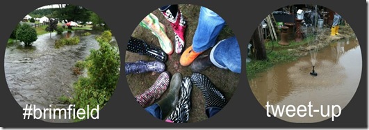brimfield tweetup triple