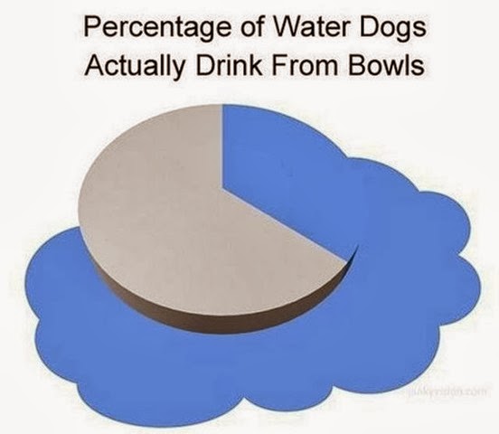 [dog-owners-understand-001%255B3%255D.jpg]