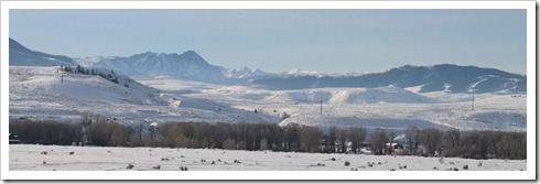 IMG_1331 IMG_1331