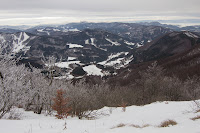 IMG_3416.jpg Photo