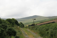 IMG_3375.jpg