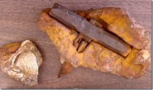 martillo martillo