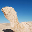 Mogui Cheng - Drôle d'oiseau