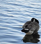 DSC_0168_new.jpg