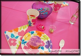 Fancy Nancy Party Table Setting {A Sprinkle of This . . . . A Dash of That}
