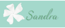[Sandra%255B1%255D.png]