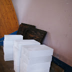 DSC05736.JPG