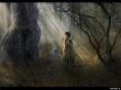 Little Girl In The Dark Forest
